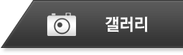 갤러리